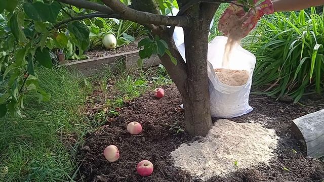 Опилки древесные - экологически чистый материал для с? смотреть онлайн