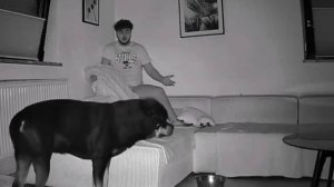 Инсульт жопы.mp4