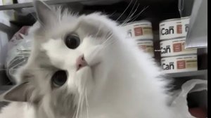 Ребята новое интро наконец простите за долгое отсутствие но да школа... 😭 в опис пж