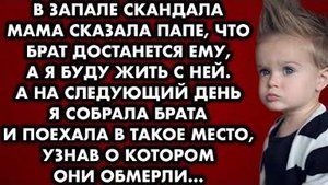 В запале скандала мама сказала папе, что брат достанется ему, а я буду жить с ней. А на следующий...