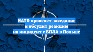 НАТО проведет заседание и обсудит реакцию на инцидент с БПЛА в Польше