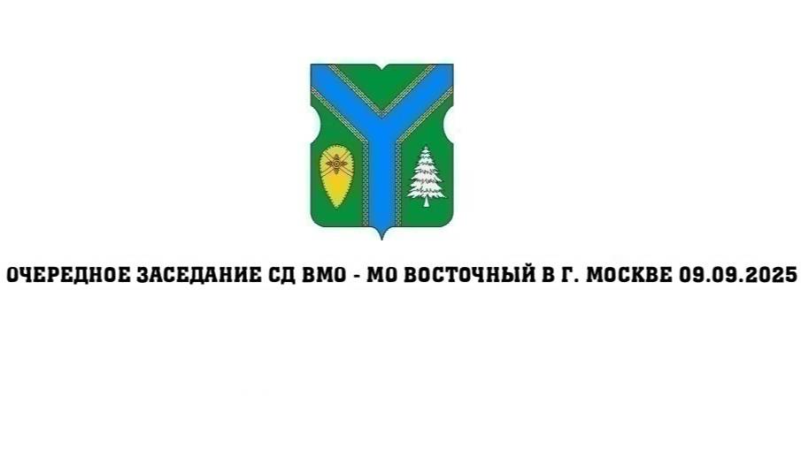 Очередное заседание СД ВМО-МО Восточный в г. Москве 09.09.2025