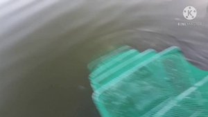раколовка за 500 рублей,ловит хорошо