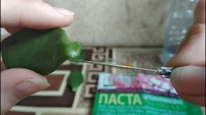 11.03.2020. Денежное дерево. Укоренение листа. Цитокининов?