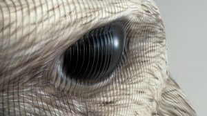 Новинки АлюмАрт