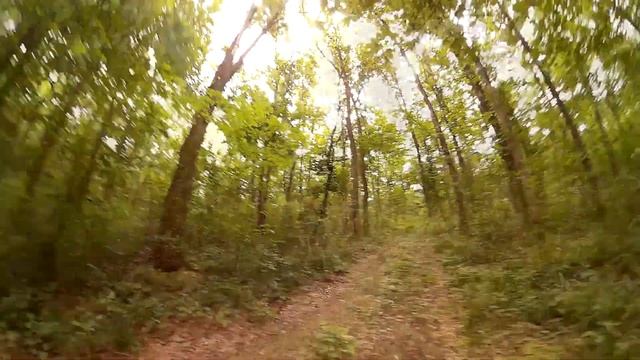 С девчонками на поиски земляники. Покатушки на велоси? смотреть онлайн