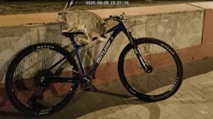 На камеру видеонаблюдения попал момент кражи велосипеда!

Если увидите этого варишку в городе, сообщ