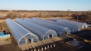 Тепличный комплекс для выращивания голубики.