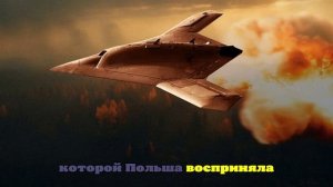 В Польше сняли на фото упавший дрона: стало ясно, кто говорил врал