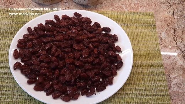 Что делать с кизилом_Чем полезен кизил смотреть онлайн