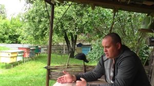 Вылетел рой на пасеке! Пчеловодство легко и просто. Па?
