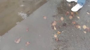 9  СЕНТЯБРЯ 2025 Г.  У НАС ГРАД, ЛИВЕНЬ, ПОТОП...