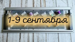 14/2025, 1-9 сентября, Новый старт и продвижения