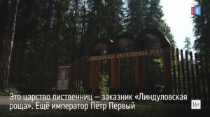 С любовью к природе