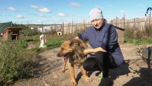 Каждая жизнь важна: как волонтеры спасают собак, оставшихся без хозяйки