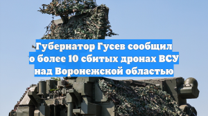 Губернатор Гусев сообщил о более 10 сбитых дронах ВСУ над Воронежской областью