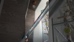 Устанавливаем УФ лампу на клетку кореллам
