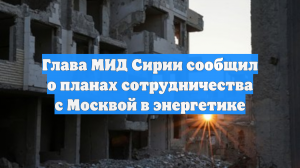 Глава МИД Сирии сообщил о планах сотрудничества с Москвой в энергетике