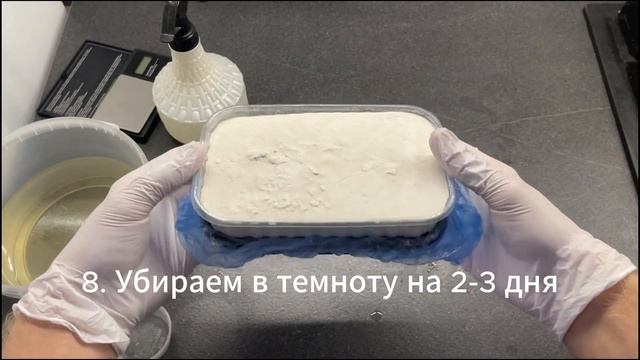 Как выращивать микрозелень горчицы на агровате смотреть онлайн
