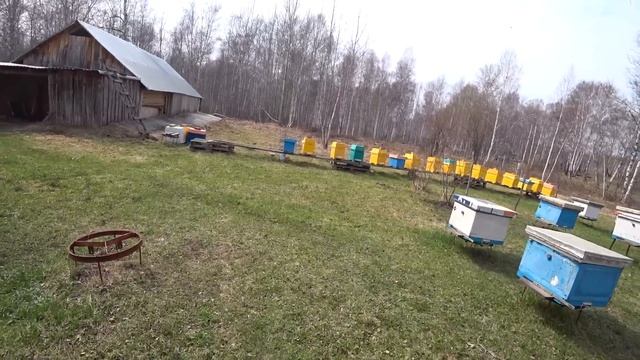 ЗАЛИВАЮТ ГНЁЗДА! Ставим вощину! Экcтренное расширение смотреть онлайн