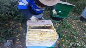 Подготовка пчел к зиме в сентябре. Семья 1.