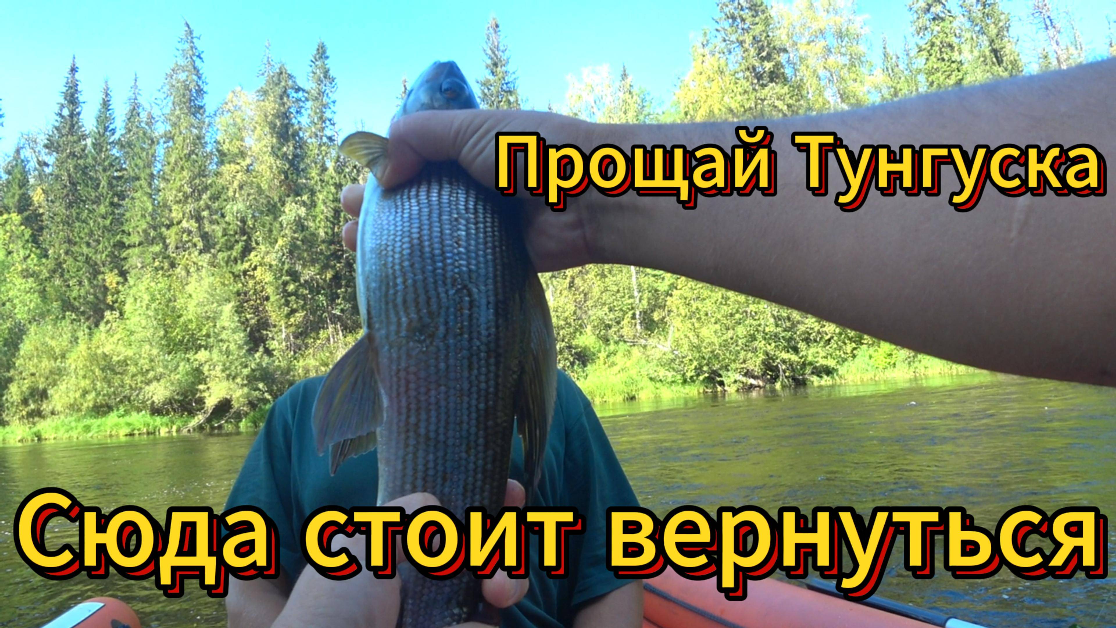 Местные не любят эту реку и говорят "тут рыбы нет"