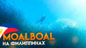 Филиппины. ЭТО ДОЛЖЕН УВИДЕТЬ КАЖДЫЙ ТУРИСТ! Нас окружили тысячи сардин