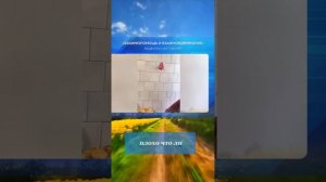 18. Личный опыт Ольги в школе