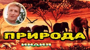 Природа Индии как она есть. #India #nature #travelvlog
