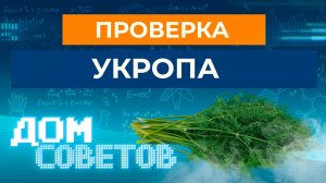 Проверка укропа
