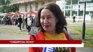 СИБИРСКАЯ ЛОЗА