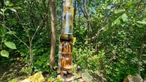 Улей в бутылке. Вызов.  Пчелоракета 2023г. Улей в бутылке