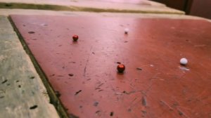 эксперимент с магнитиками этап №1