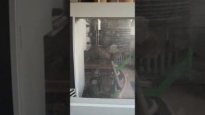 Штучный паркет из ореха.