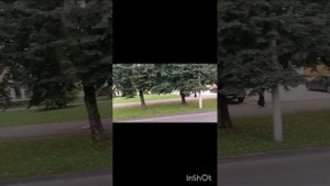 Калининград #2