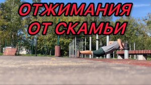 ОТЖИМАНИЯ ОТ СКАМЬИ