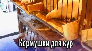 Кормушки для домашних кур