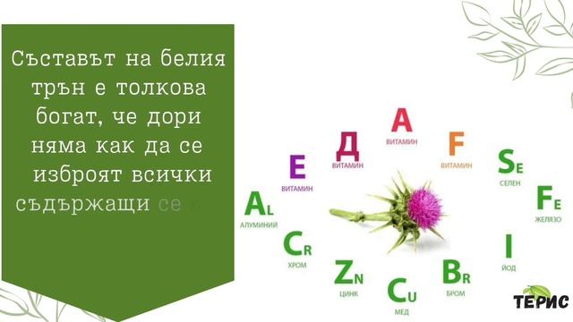 Бял трън - досаден плевел или полезно растение? - bilkovitink смотреть онлайн
