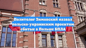 Политолог Зимовский назвал польско-украинским проектом сбитые в Польше БПЛА