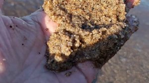 Нашла идеальный песок для укоренения черенков плющел?