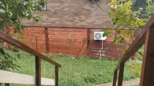 СОЧИ ГОРНОЕ ЛОО 10.09.2025