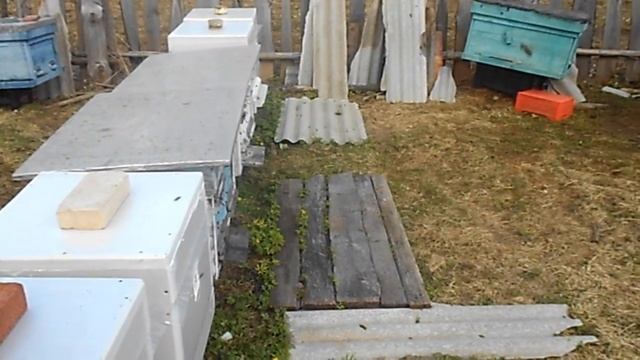 Метод Блинова , вощина , расширение , улья из ППС приятн смотреть онлайн