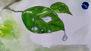 Роса / Где ее можно увидеть? / Рассказ детям / М. Пришвин