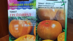 Томаты - фрукты. Мои новинки к следующему сезону.