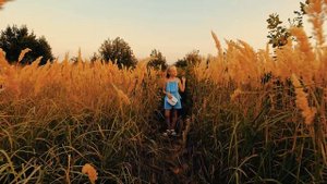 Гуляю с дочкой. Летний вечер 2021. Красиво, природа. Лето