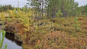 9755889 Транспортный строитель