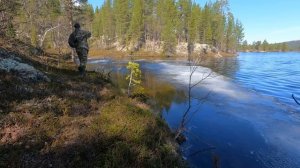 Открыл сезон спиннинга. Мертвая дичь.