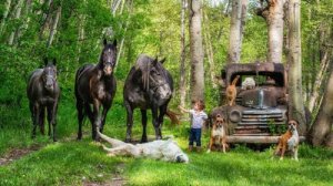 День обеда за просмотром телевизора