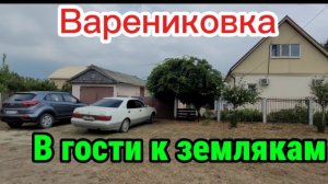 Приезд в гости к друзьям.