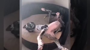 Удобно мне так 😎!))